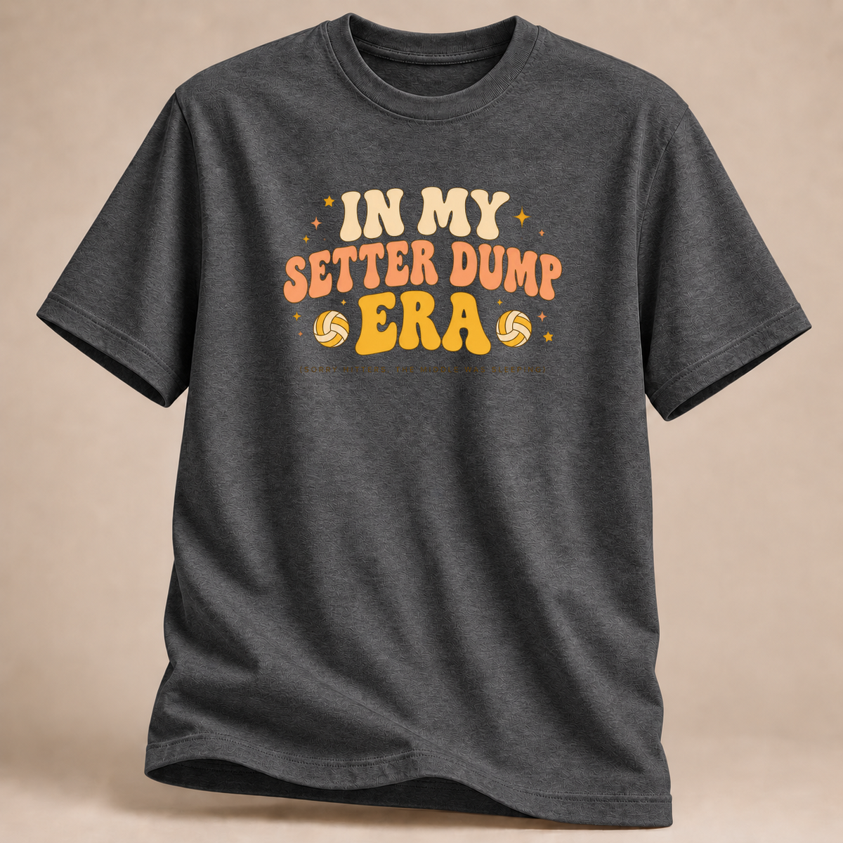 RÜCKRAUM – In My Setter Dump Era T-Shirt – Dunkelgrau meliert